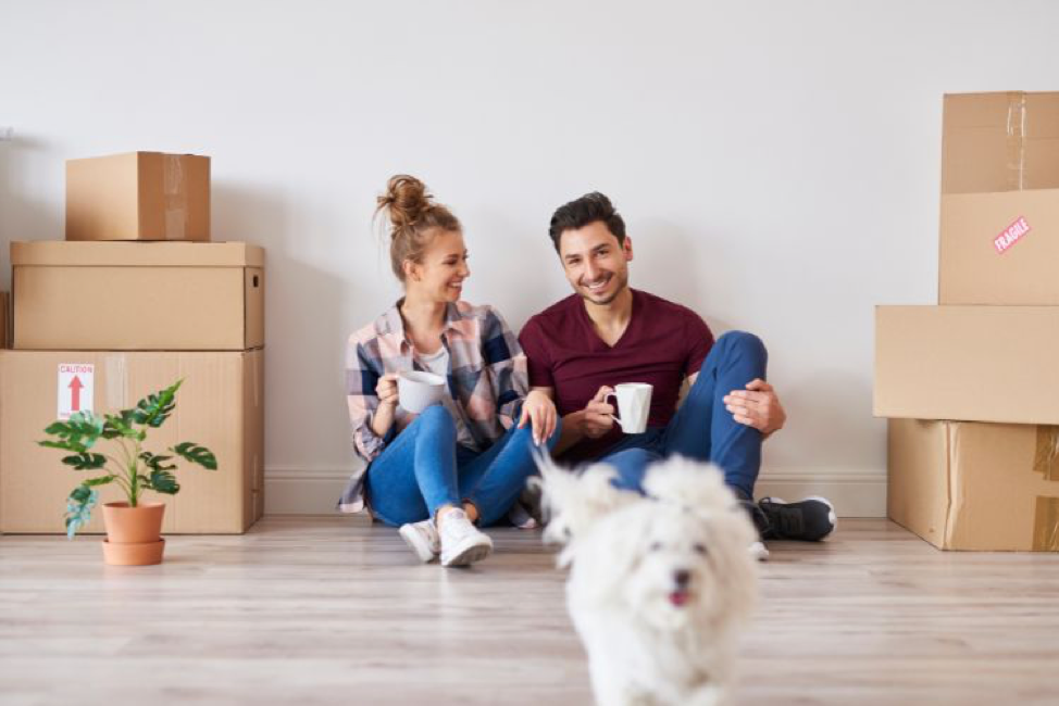 On-demand app, van line, or small-load shipping: What each one actually costs in Los Angeles