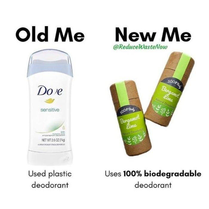 49 ‘Old Me vs. New Me’ Memes That Will Help You Reduce Waste