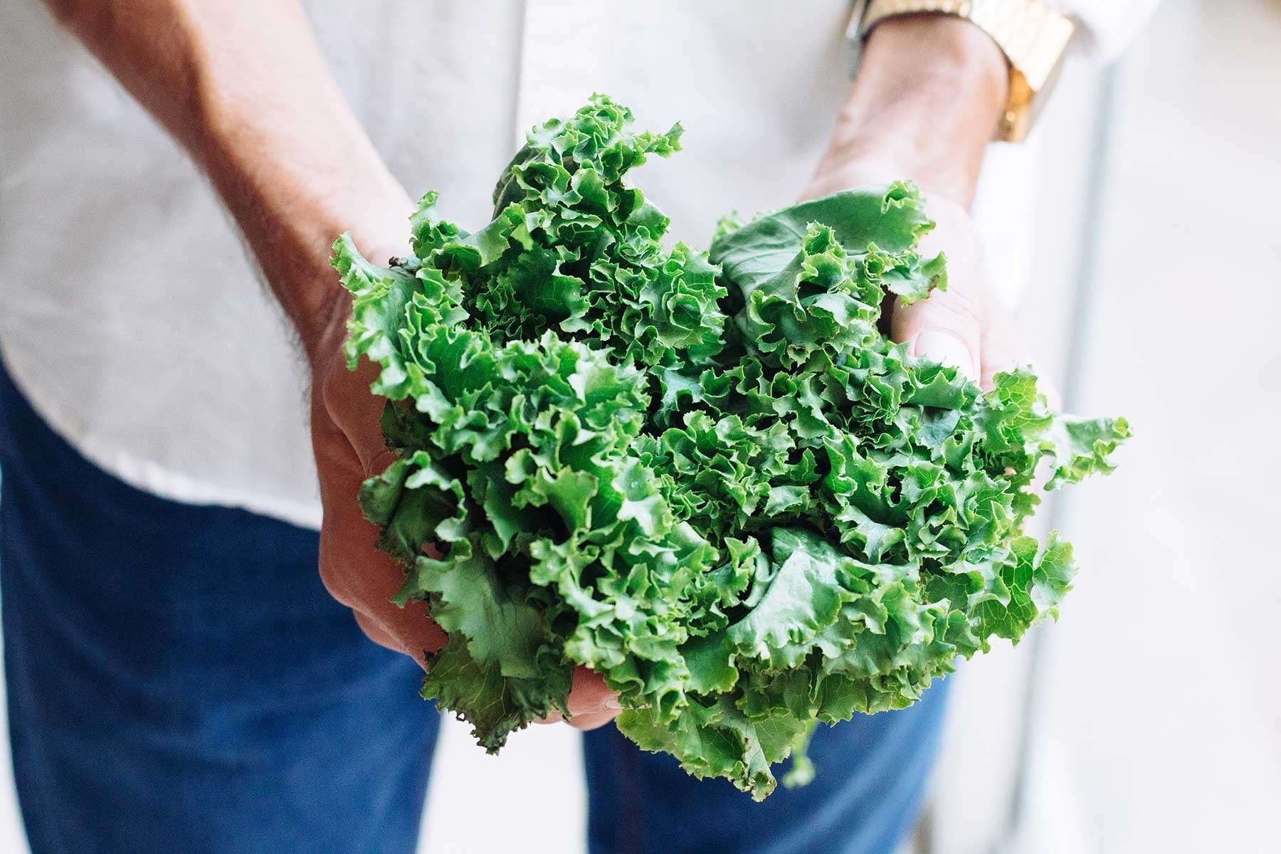 Your worst enemy might be hiding in your fridge: Understanding the ...