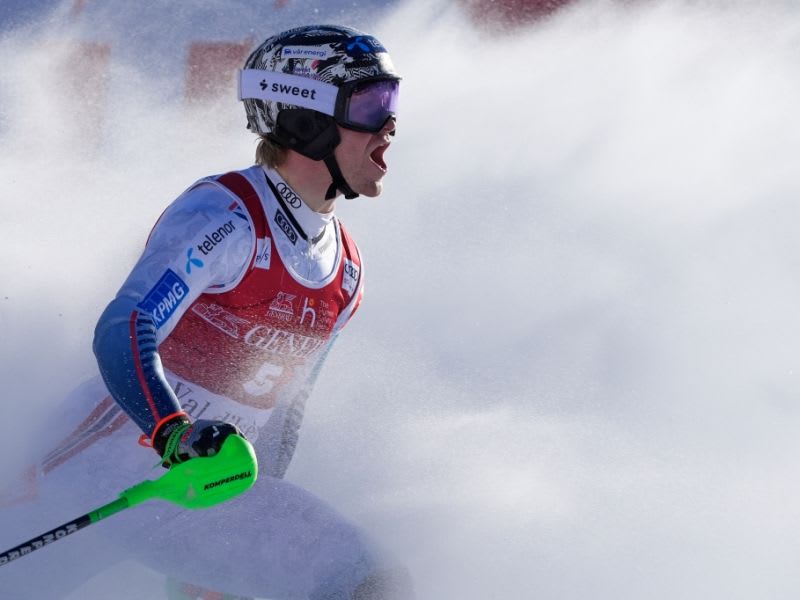 Der Ultimative Guide Herren Alpin Ski Gipfelsturmer Fur Jeden Anspruchfeed