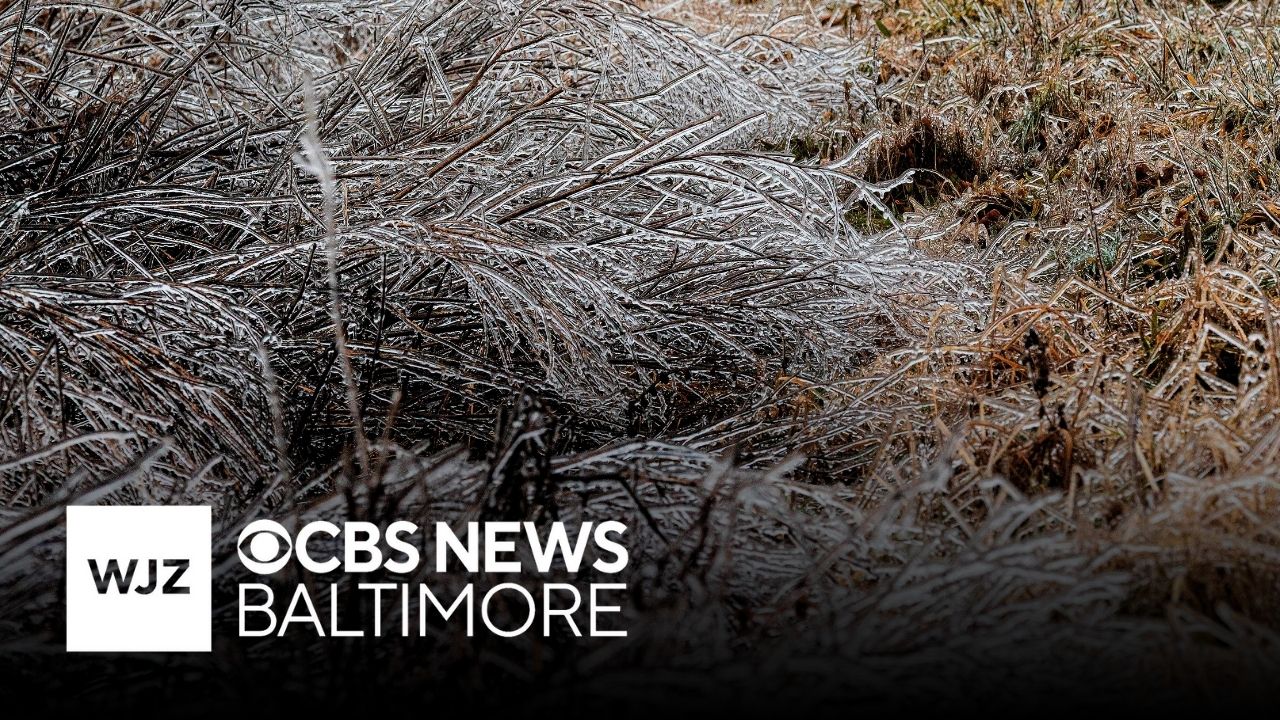 Baltimore declares first Code Blue Extreme Cold Alert of season