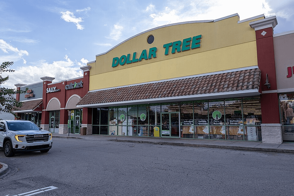 15 Dollar Tree home organization finds that actually work (June update)