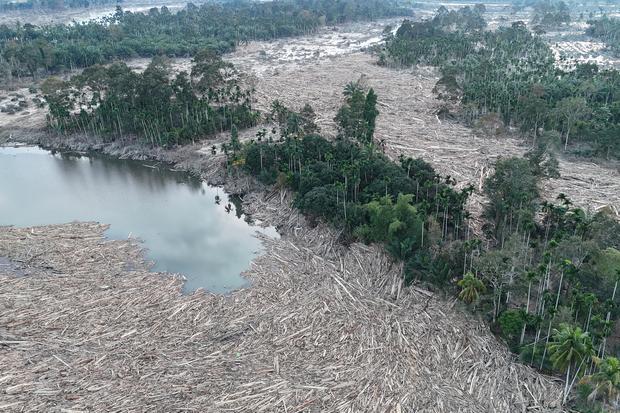 Pemerintah Periksa Toba Pulp Lestari, Cabut 22 Izin Hutan Bermasalah