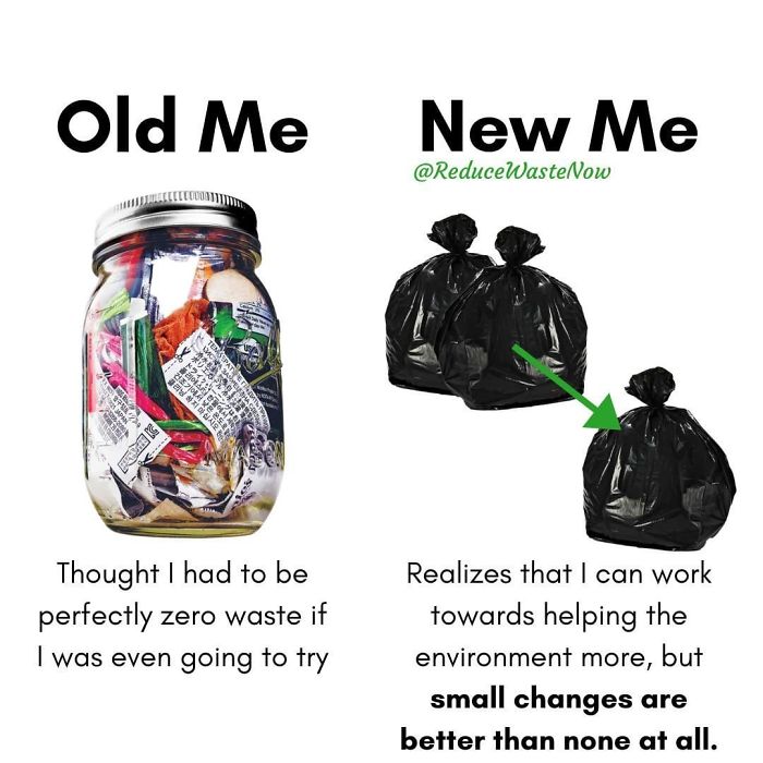 49 ‘Old Me vs. New Me’ Memes That Will Help You Reduce Waste