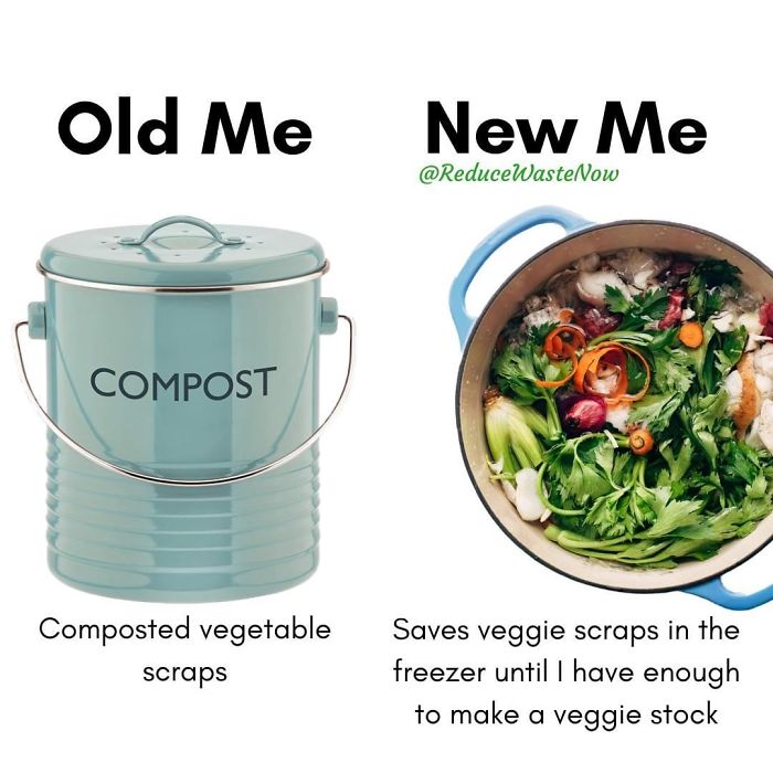 49 ‘Old Me vs. New Me’ Memes That Will Help You Reduce Waste