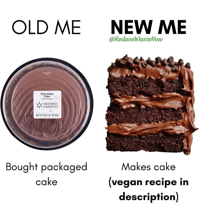 49 ‘Old Me vs. New Me’ Memes That Will Help You Reduce Waste