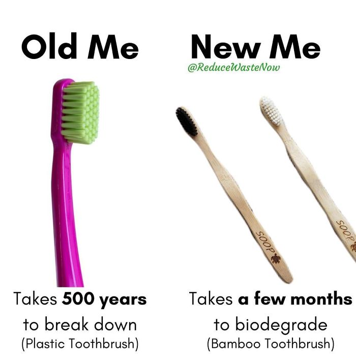 49 ‘Old Me vs. New Me’ Memes That Will Help You Reduce Waste