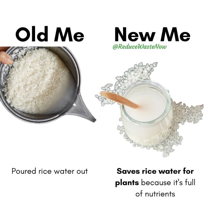 49 ‘Old Me vs. New Me’ Memes That Will Help You Reduce Waste