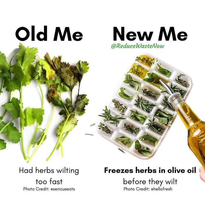 49 ‘Old Me vs. New Me’ Memes That Will Help You Reduce Waste
