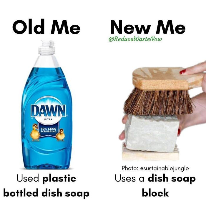49 ‘Old Me vs. New Me’ Memes That Will Help You Reduce Waste