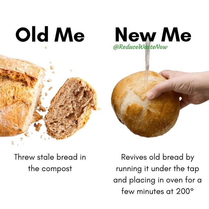 49 ‘Old Me vs. New Me’ Memes That Will Help You Reduce Waste