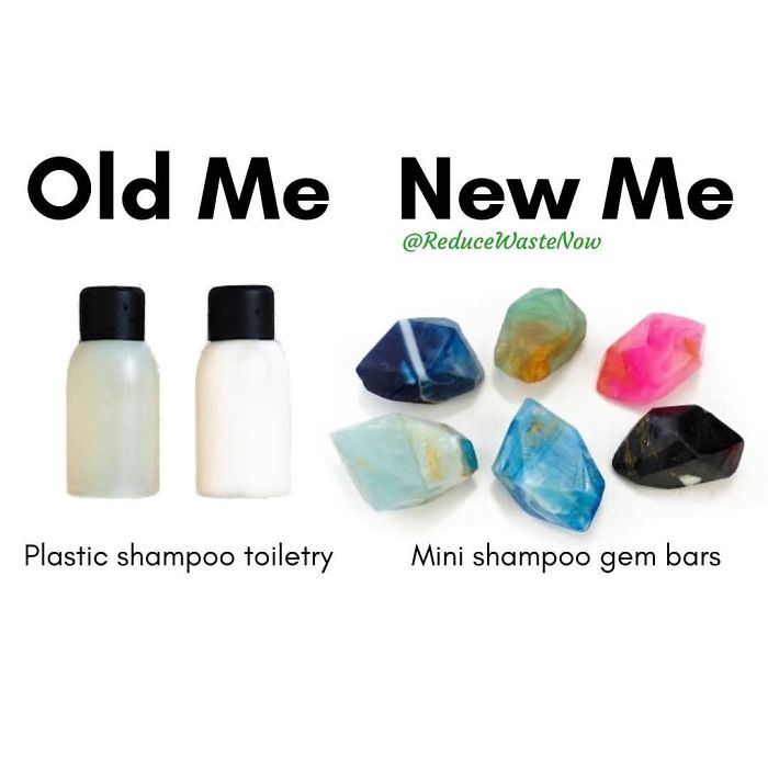 49 ‘Old Me vs. New Me’ Memes That Will Help You Reduce Waste