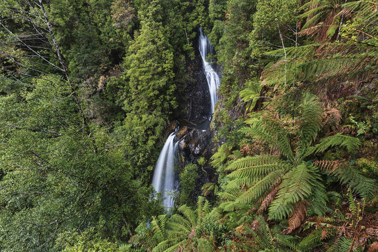 Philosopher Falls in Tasmania Getty