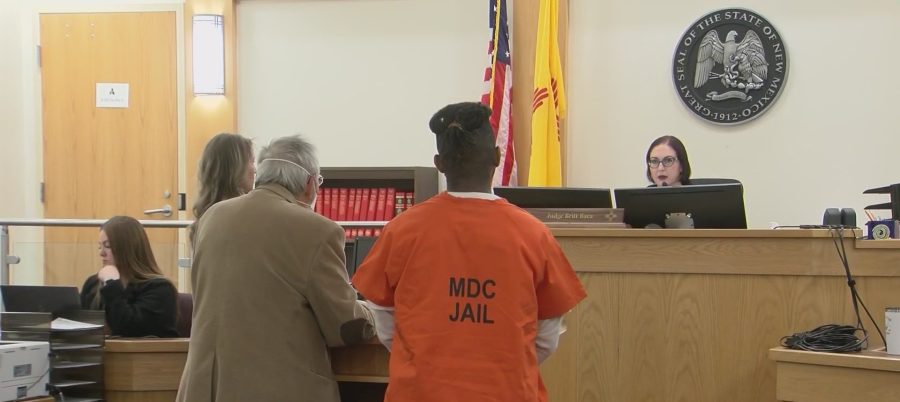 Albuquerque man pleads guilty to 2 murders and other charges