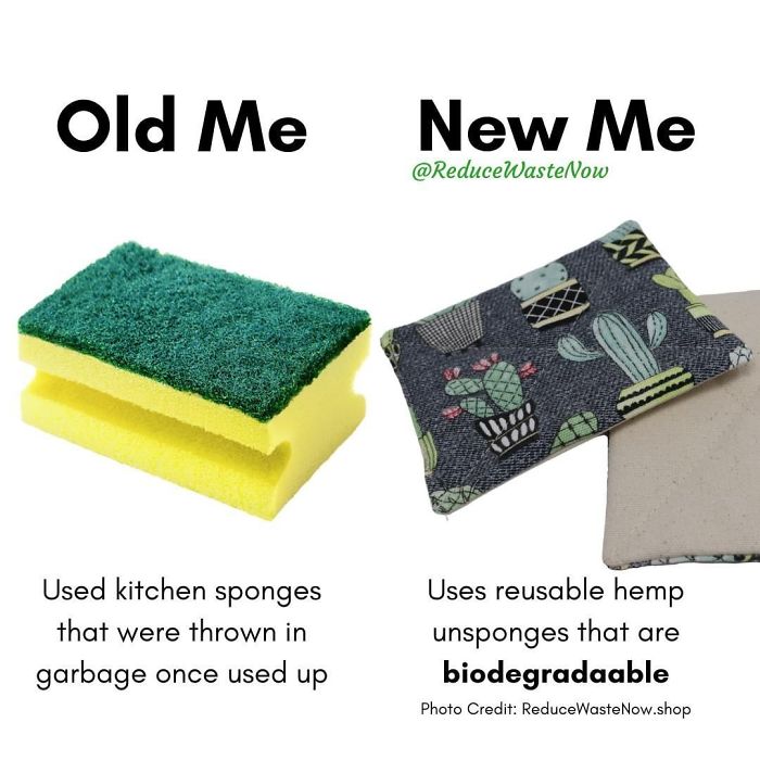 49 ‘Old Me vs. New Me’ Memes That Will Help You Reduce Waste