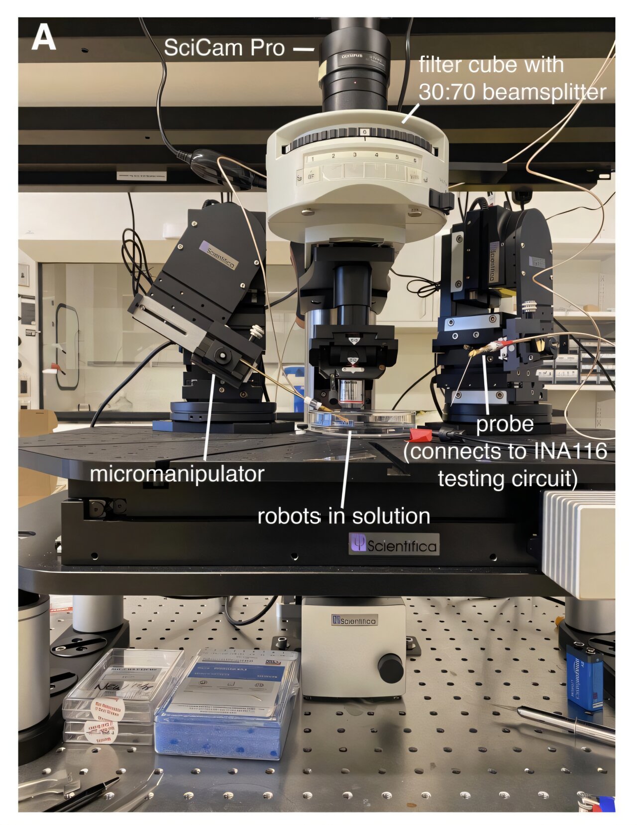 Sub-millimeter-sized robots can sense, 'think' and act on their own