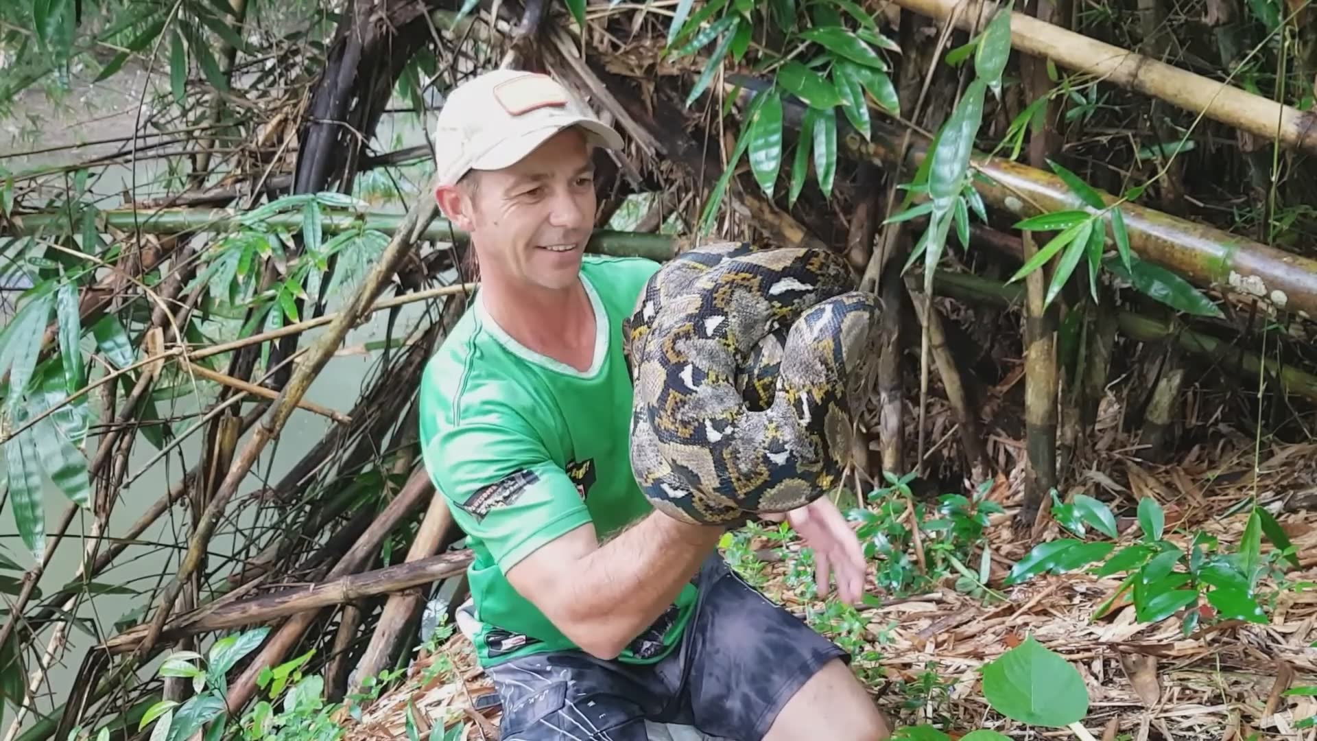 Demonstrating why large constrictor snakes are not pets