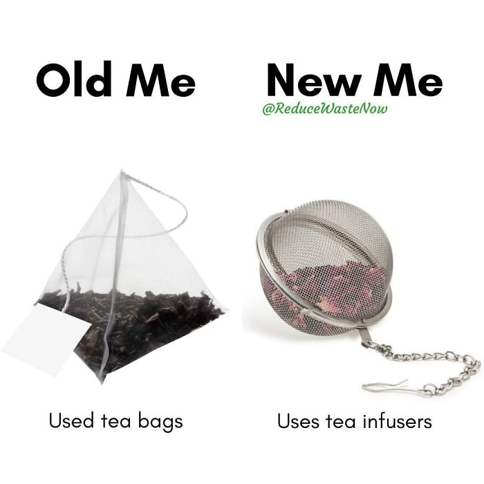49 ‘Old Me vs. New Me’ Memes That Will Help You Reduce Waste