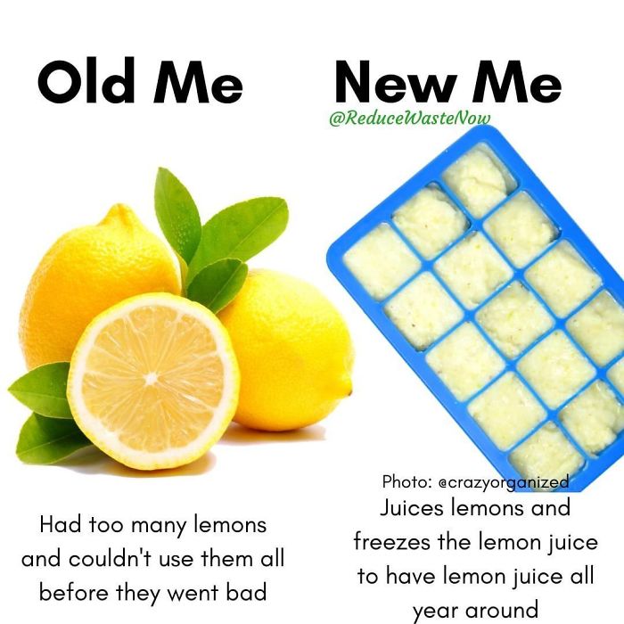 49 ‘Old Me vs. New Me’ Memes That Will Help You Reduce Waste