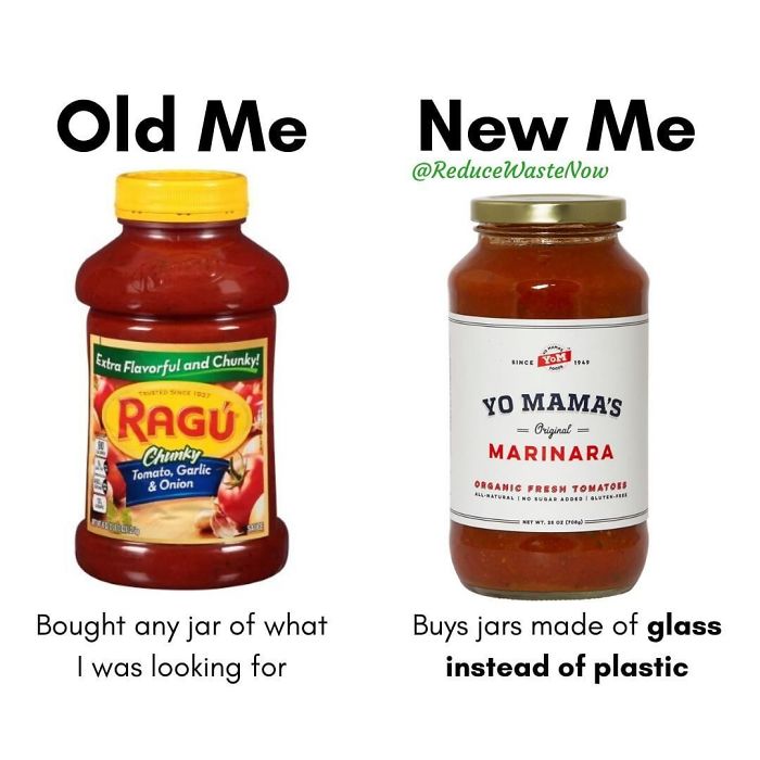 49 ‘Old Me vs. New Me’ Memes That Will Help You Reduce Waste