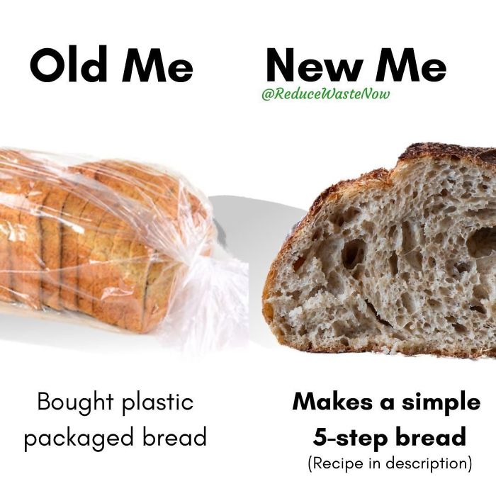 49 ‘Old Me vs. New Me’ Memes That Will Help You Reduce Waste