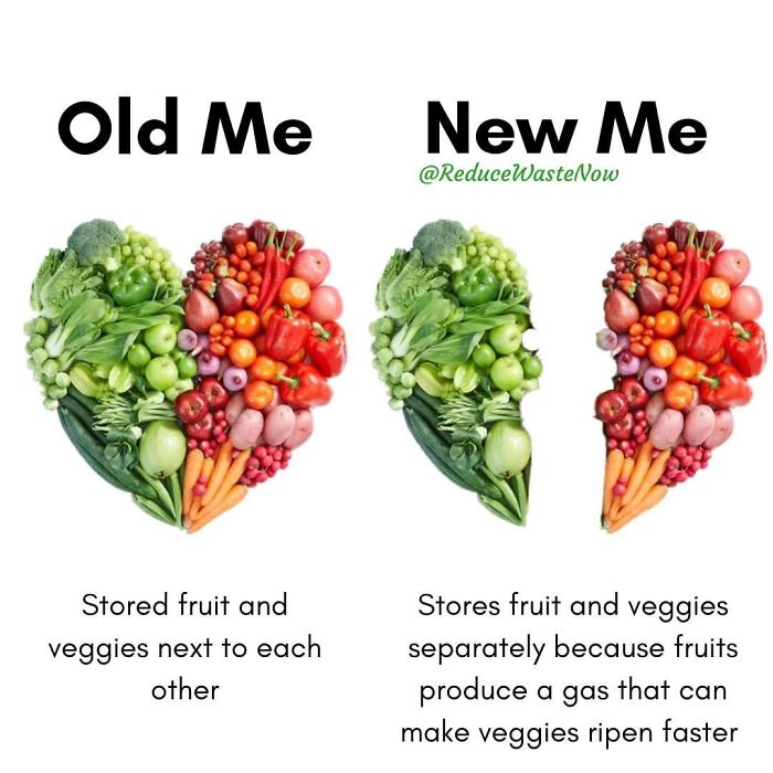 49 ‘Old Me vs. New Me’ Memes That Will Help You Reduce Waste
