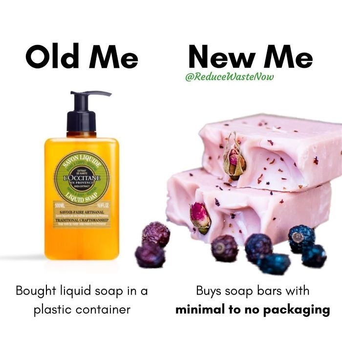 49 ‘Old Me vs. New Me’ Memes That Will Help You Reduce Waste