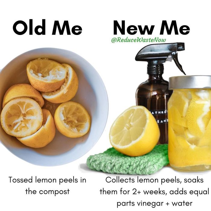 49 ‘Old Me vs. New Me’ Memes That Will Help You Reduce Waste
