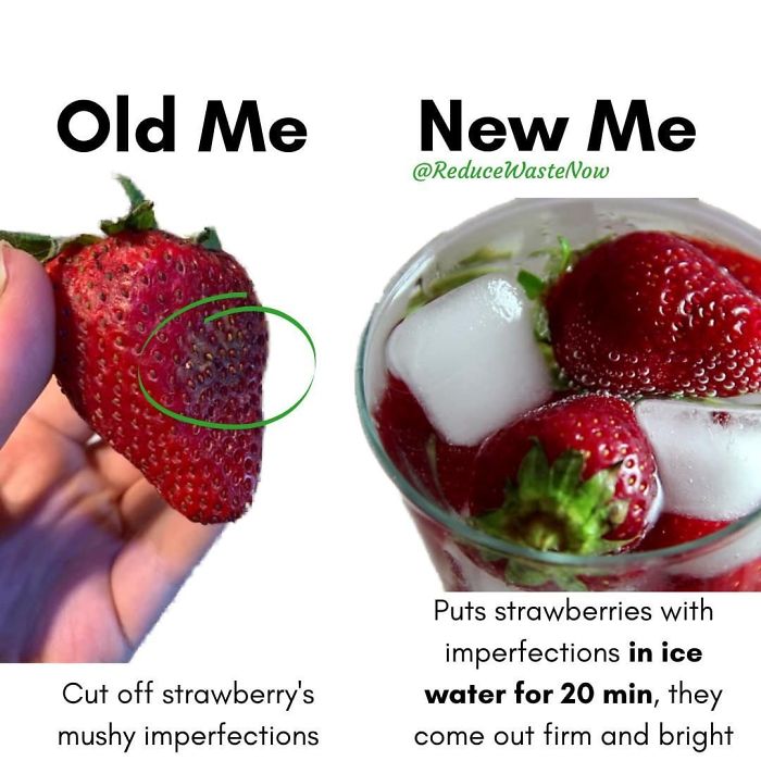 49 ‘Old Me vs. New Me’ Memes That Will Help You Reduce Waste