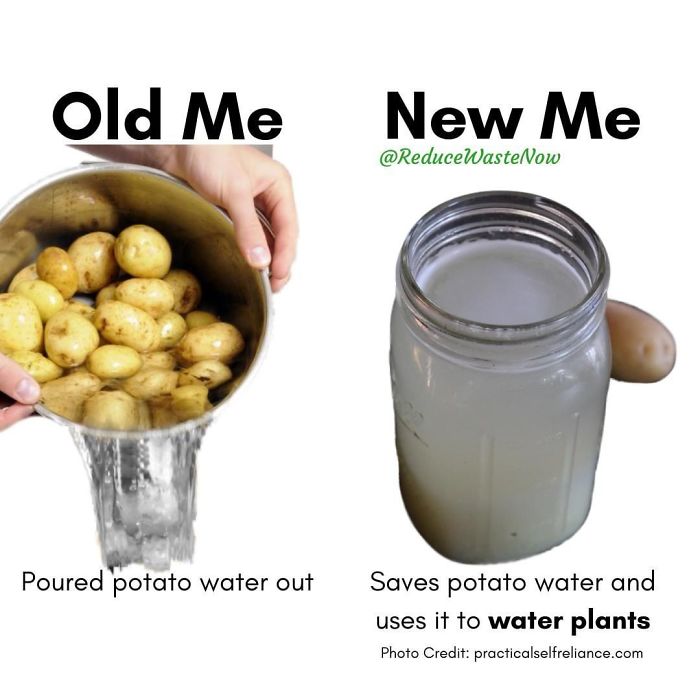 49 ‘Old Me vs. New Me’ Memes That Will Help You Reduce Waste