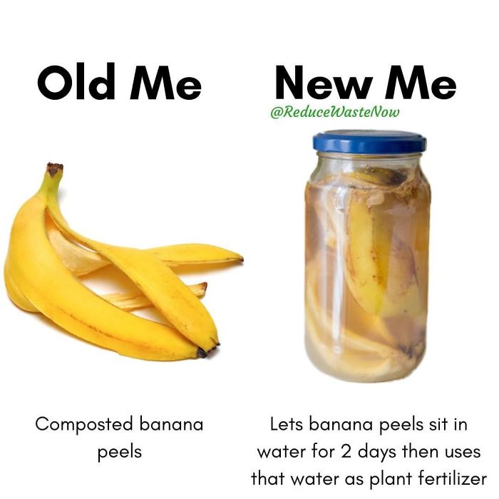49 ‘Old Me vs. New Me’ Memes That Will Help You Reduce Waste