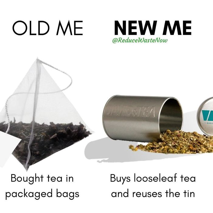 49 ‘Old Me vs. New Me’ Memes That Will Help You Reduce Waste