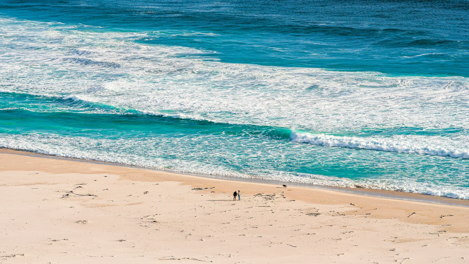 This underrated US coastline has a rain forest, state parks, and the ...