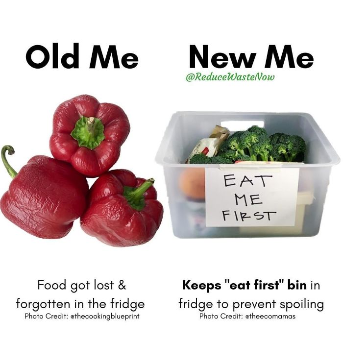 49 ‘Old Me vs. New Me’ Memes That Will Help You Reduce Waste
