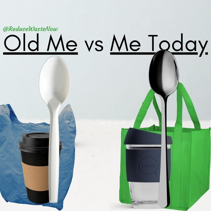 49 ‘Old Me vs. New Me’ Memes That Will Help You Reduce Waste
