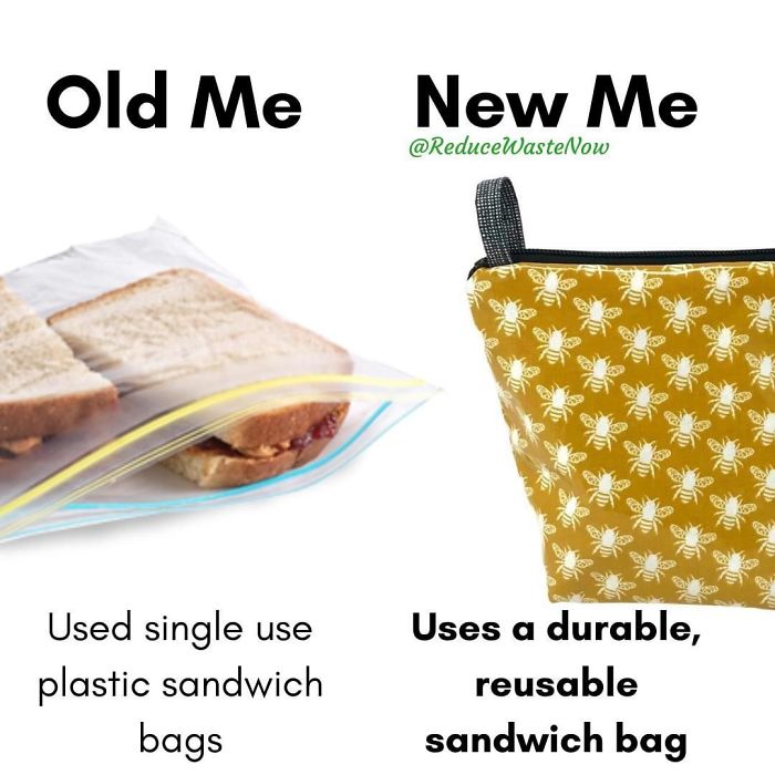 49 ‘Old Me vs. New Me’ Memes That Will Help You Reduce Waste