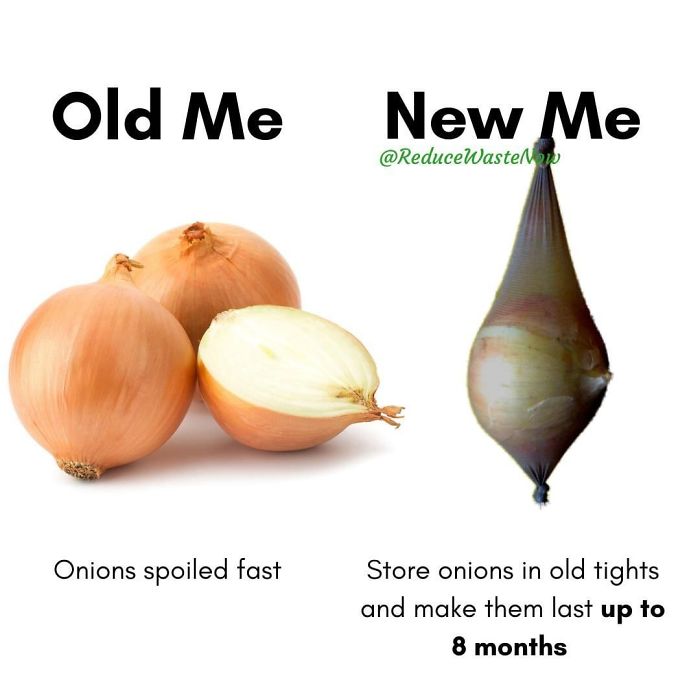 49 ‘Old Me vs. New Me’ Memes That Will Help You Reduce Waste