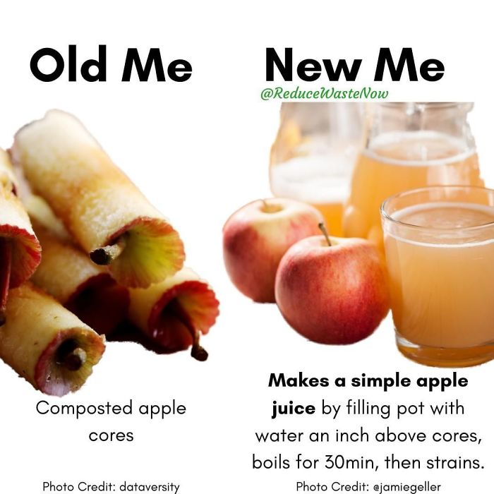 49 ‘Old Me vs. New Me’ Memes That Will Help You Reduce Waste