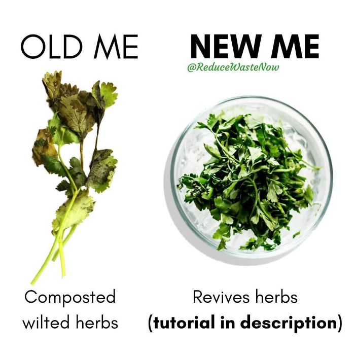 49 ‘Old Me vs. New Me’ Memes That Will Help You Reduce Waste