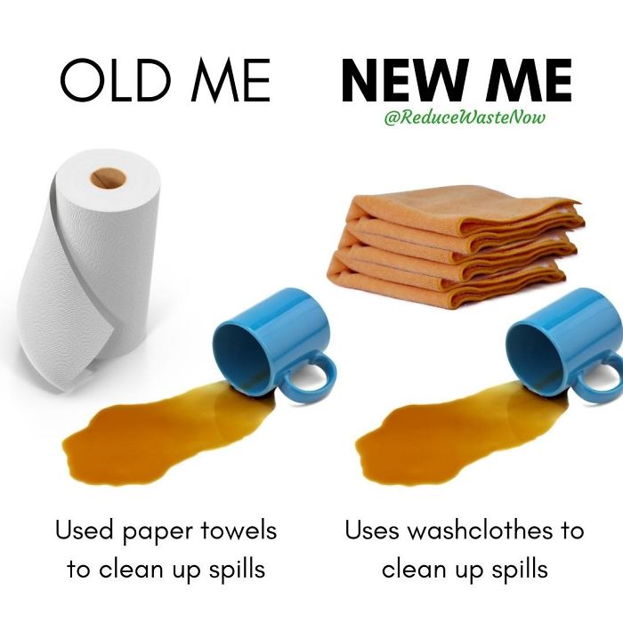 49 ‘Old Me vs. New Me’ Memes That Will Help You Reduce Waste