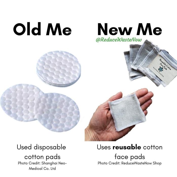 49 ‘Old Me vs. New Me’ Memes That Will Help You Reduce Waste