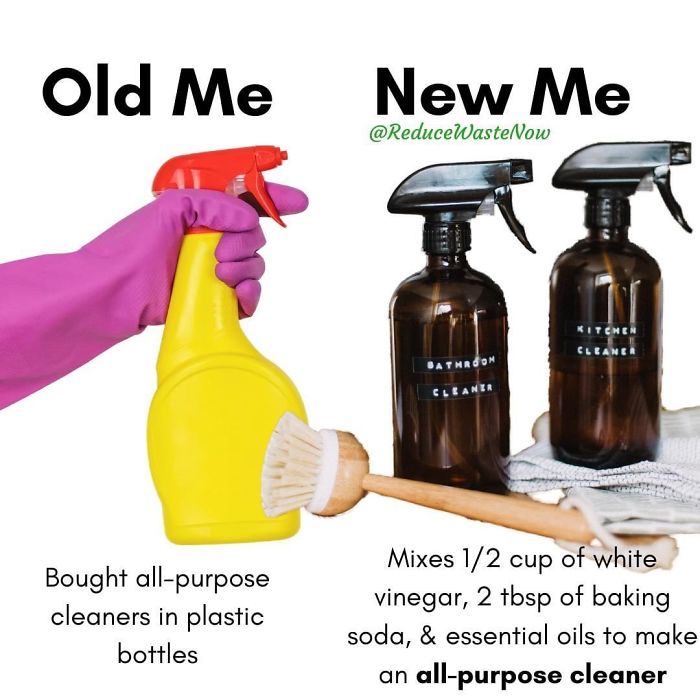 49 ‘Old Me vs. New Me’ Memes That Will Help You Reduce Waste