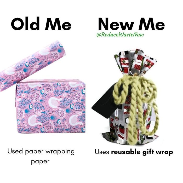 49 ‘Old Me vs. New Me’ Memes That Will Help You Reduce Waste