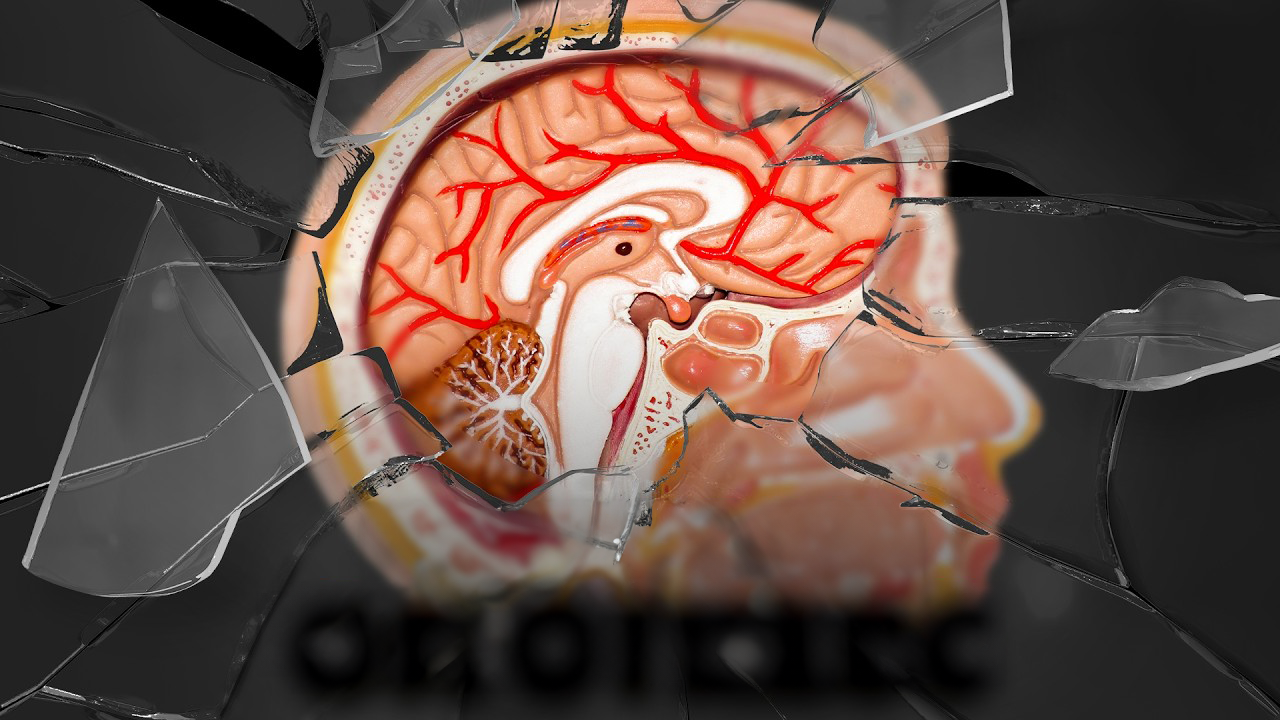 How stress rewires your body through cortisol<br>