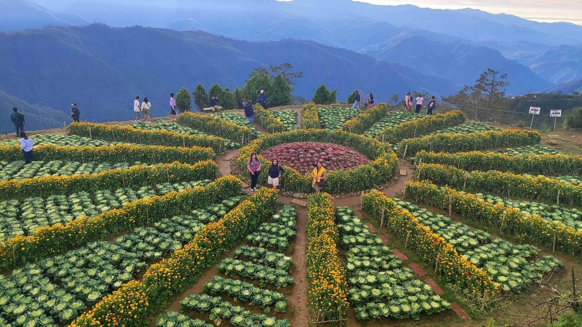 Atok, Benguet travel guide: Things to do at the 7,400-foot highest point