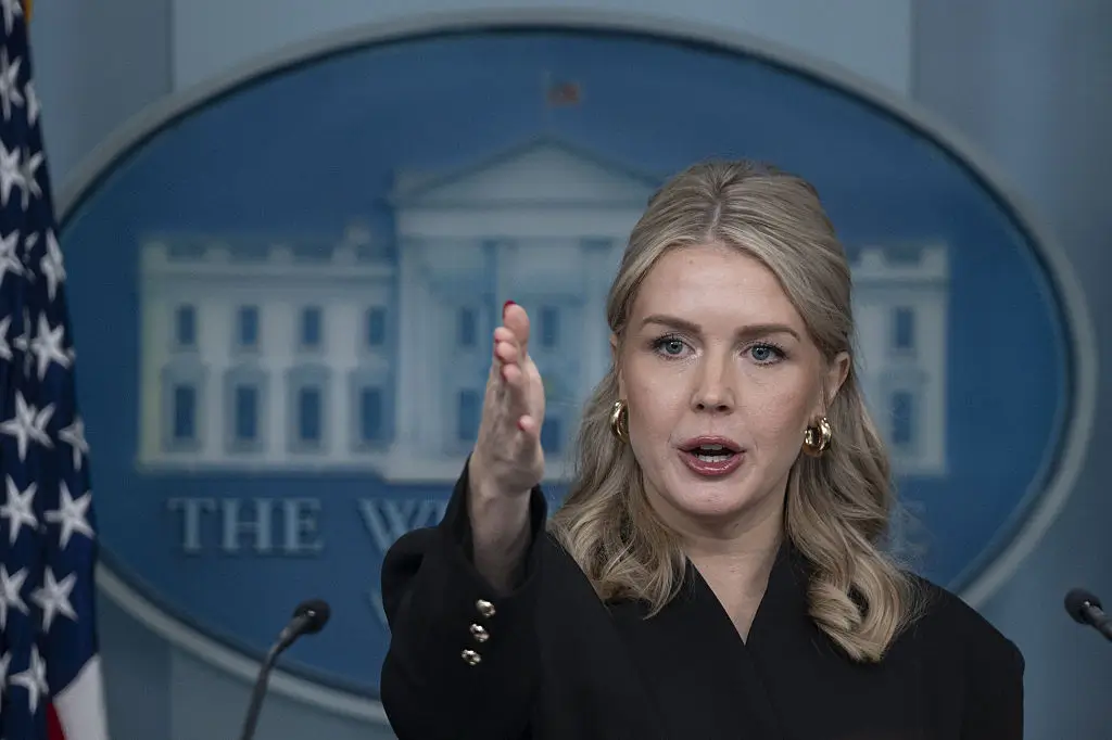 'Need a dictionary’ Karoline Leavitt gets cornered on Trump saying(02)