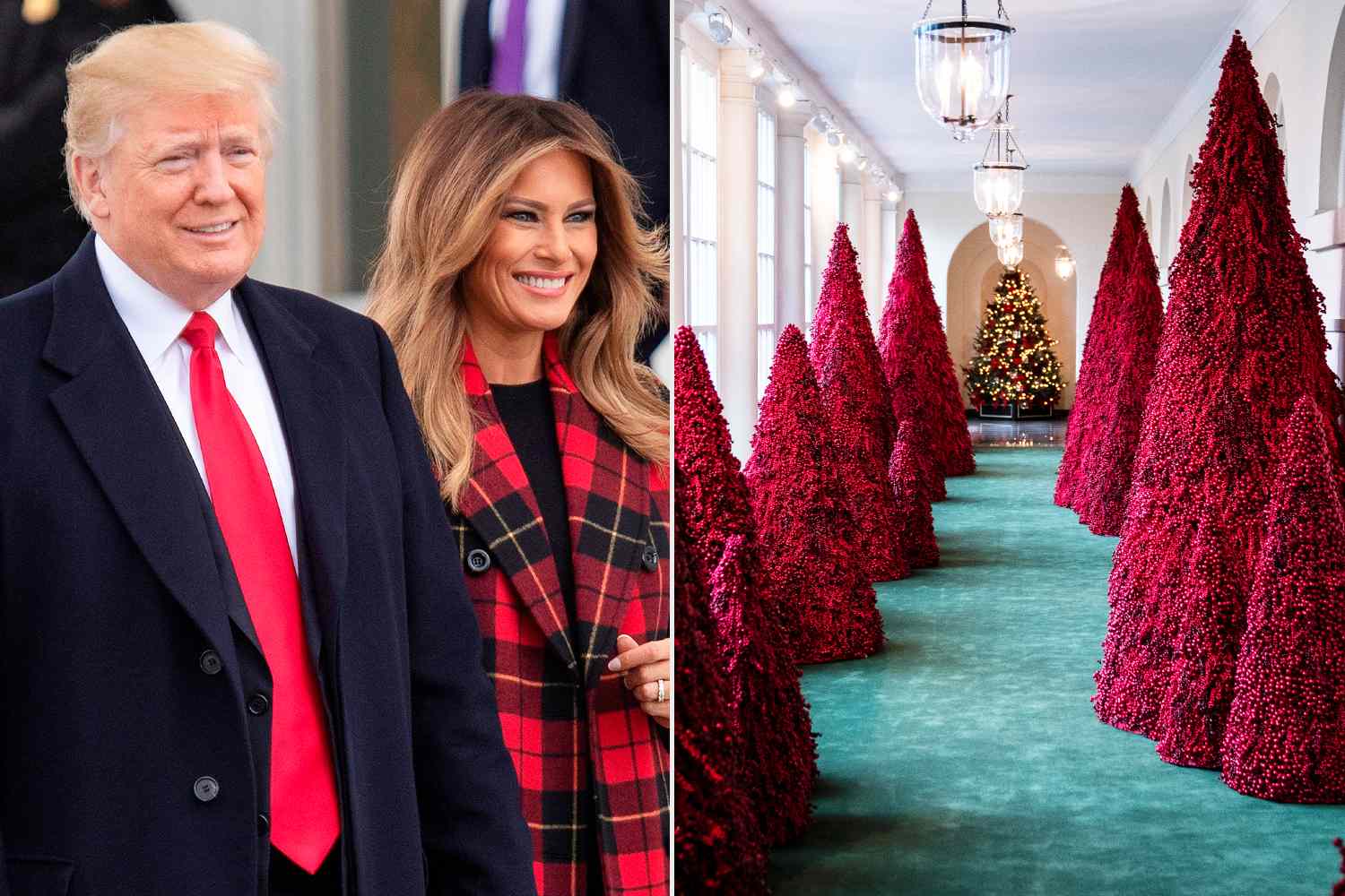 Donald Trump says he told Melania to 'make the trees green' after her ...