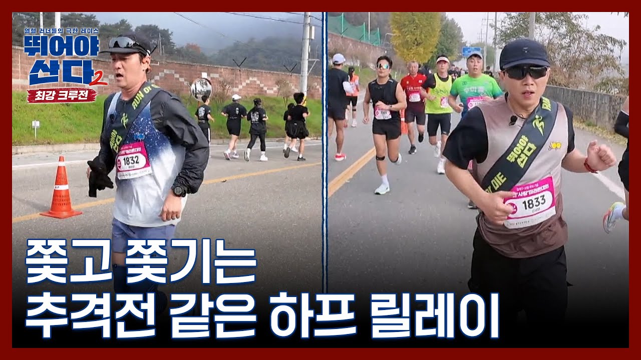 Trimming a tree safely with tips from Rachel Pizzolato