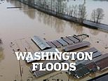 Drone video shows flooding in Washington state after dam break