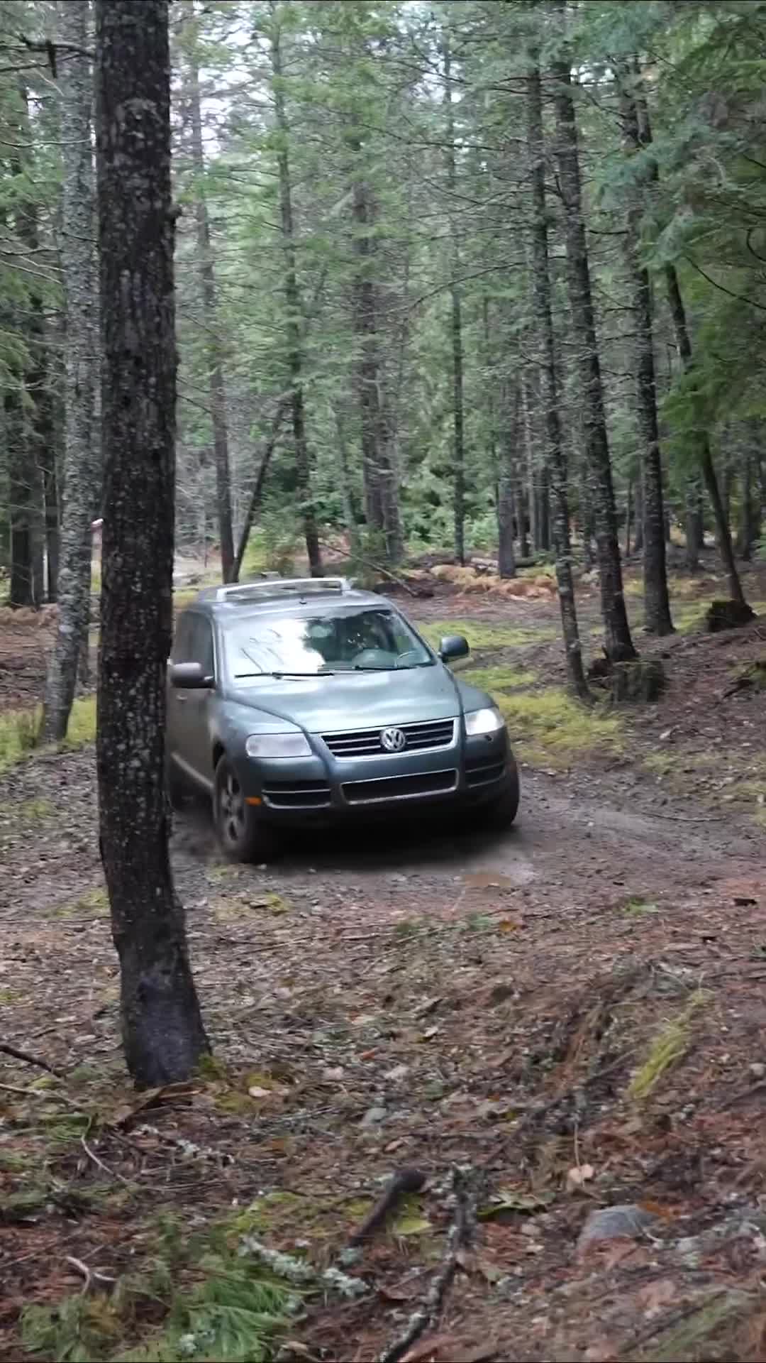 I found one of the best rally cars ever! 🚗